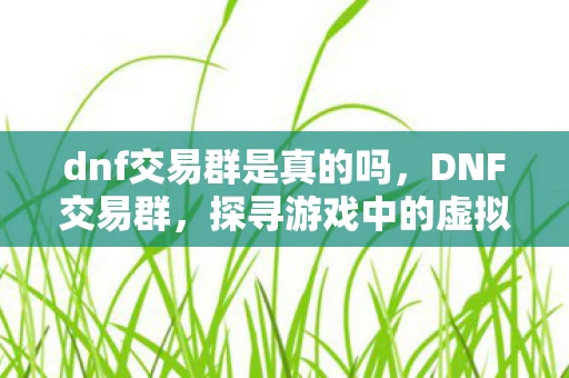 dnf交易群是真的吗，DNF交易群，探寻游戏中的虚拟市场