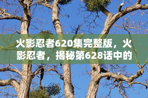 火影忍者620集完整版，火影忍者，揭秘第628话中的精彩瞬间与深度内涵
