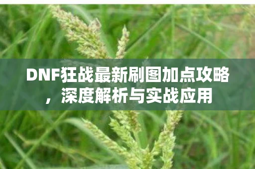 DNF狂战最新刷图加点攻略图片