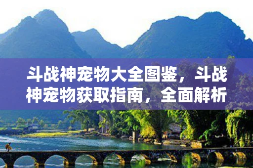 斗战神宠物大全图鉴,斗战神宠物获取指南,全面解析宠物获取途径与攻略 斗战神宠物大全图鉴,斗战神宠物获取指南,全面解析宠物获取途径与攻略