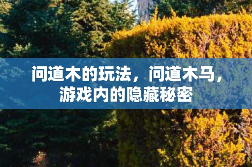 问道木的玩法,问道木马,游戏内的隐藏秘密 问道木的玩法,问道木马,游戏内的隐藏秘密