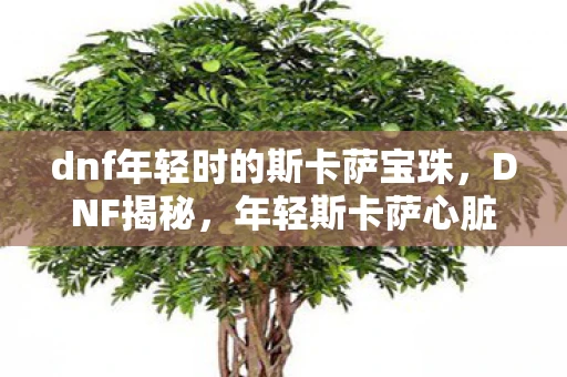 dnf年轻时的斯卡萨宝珠，DNF揭秘，年轻斯卡萨心脏的奥秘与力量
