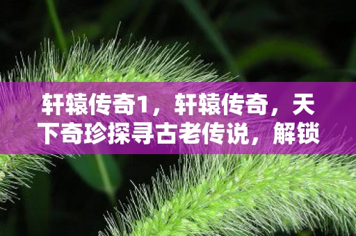 轩辕传奇1，轩辕传奇，天下奇珍探寻古老传说，解锁神秘宝藏