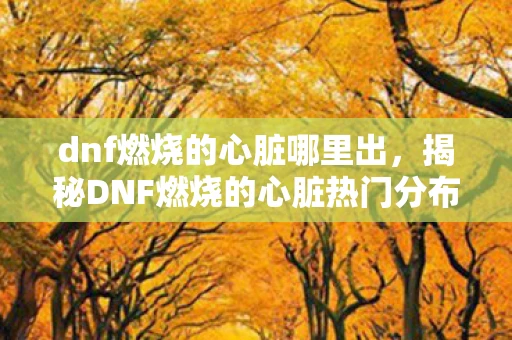 dnf燃烧的心脏哪里出，揭秘DNF燃烧的心脏热门分布地点大揭秘