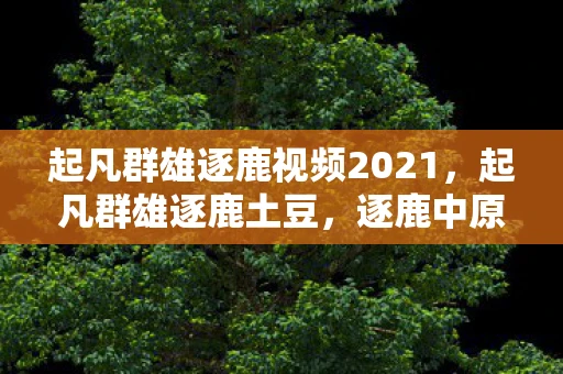 起凡群雄逐鹿视频2021，起凡群雄逐鹿土豆，逐鹿中原，英雄豪杰共聚一堂