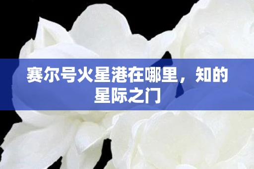 赛尔号火星港在哪里，知的星际之门