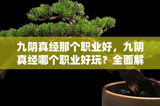 九阴真经那个职业好,九阴真经哪个职业好玩?全面解析各大职业特色与玩法 九阴真经那个职业好,九阴真经哪个职业好玩?全面解析各大职业特色与玩法