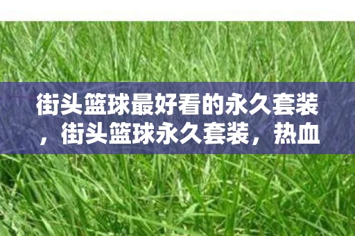街头篮球最好看的永久套装，街头篮球永久套装，热血球场，时尚与实力的完美结合