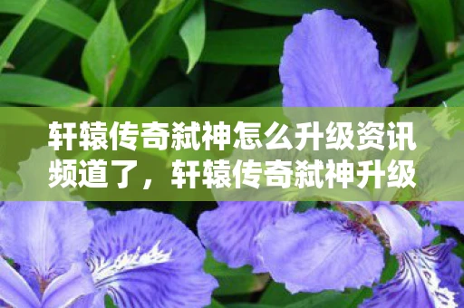 轩辕传奇弑神怎么升级资讯频道了，轩辕传奇弑神升级攻略，快速掌握升级秘籍