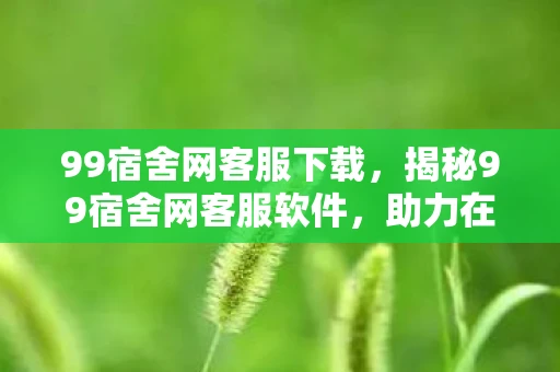 99宿舍网客服下载，揭秘99宿舍网客服软件，助力在线学习体验升级