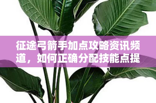 如何正确分配技能点提升弓箭手实力图片