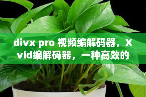divx pro 视频编解码器,Xvid编解码器,一种高效的视频压缩技术 divx pro 视频编解码器,Xvid编解码器,一种高效的视频压缩技术