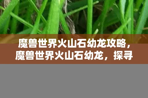 魔兽世界火山石幼龙攻略，魔兽世界火山石幼龙，探寻神秘的龙族宝藏