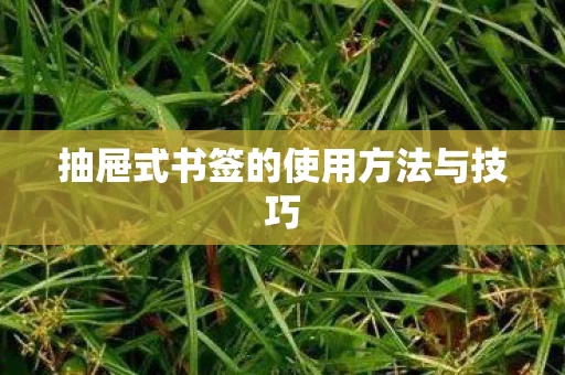 抽屉式书签的使用方法与技巧图片
