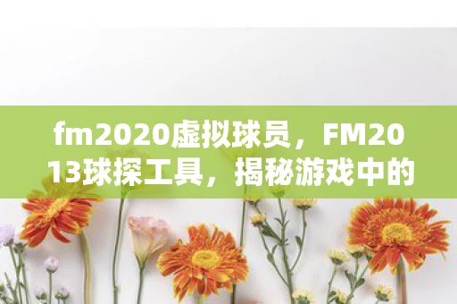 fm2020虚拟球员,FM2013球探工具,揭秘游戏中的虚拟足球世界 fm2020虚拟球员,FM2013球探工具,揭秘游戏中的虚拟足球世界