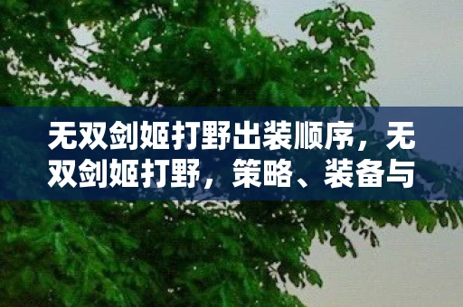 无双剑姬打野出装顺序，无双剑姬打野，策略、装备与团队协同的艺术