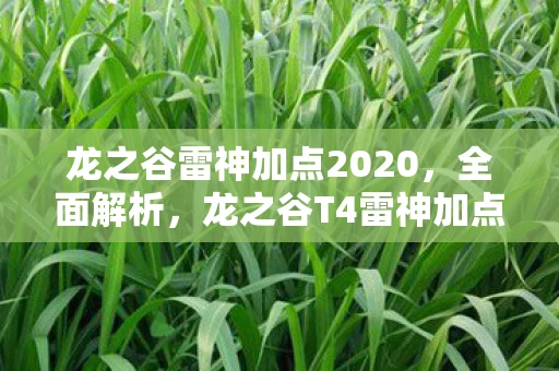 龙之谷雷神加点2020,全面解析,龙之谷T4雷神加点攻略 龙之谷雷神加点2020,全面解析,龙之谷T4雷神加点攻略
