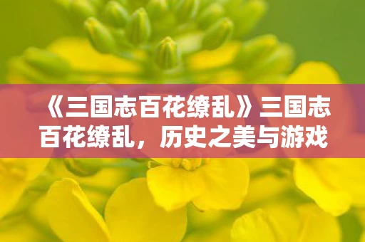 《三国志百花缭乱》三国志百花缭乱，历史之美与游戏之魅
