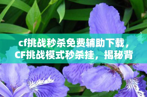 cf挑战秒杀免费辅助下载，CF挑战模式秒杀挂，揭秘背后的真相与应对之道