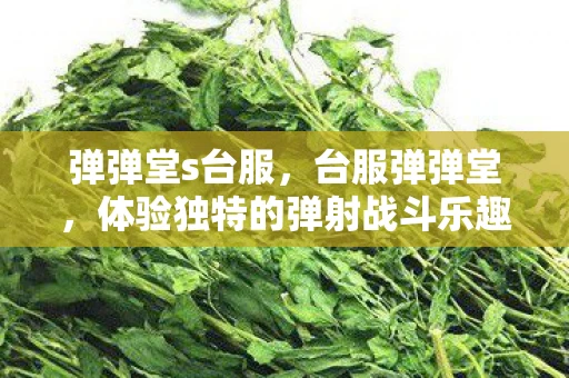 弹弹堂s台服，台服弹弹堂，体验独特的弹射战斗乐趣