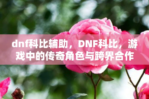 dnf科比辅助，DNF科比，游戏中的传奇角色与跨界合作
