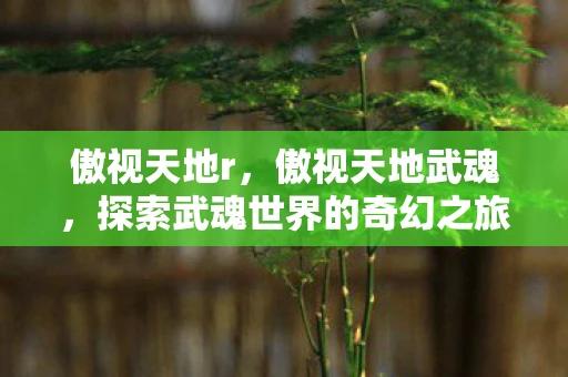 傲视天地r,傲视天地武魂,探索武魂世界的奇幻之旅 傲视天地r,傲视天地武魂,探索武魂世界的奇幻之旅