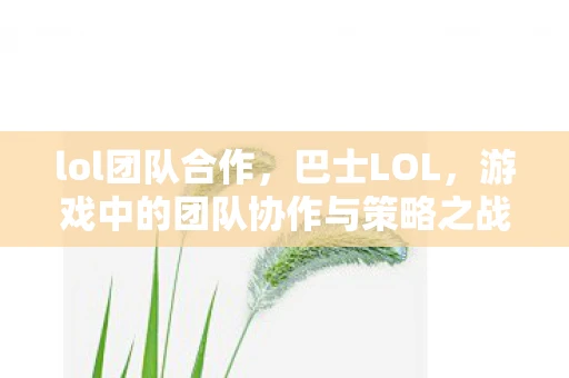 lol团队合作，巴士LOL，游戏中的团队协作与策略之战