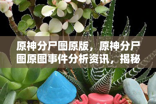 原神分尸图原版,原神分尸图原图事件分析资讯,揭秘事件源头与真相 原神分尸图原版,原神分尸图原图事件分析资讯,揭秘事件源头与真相