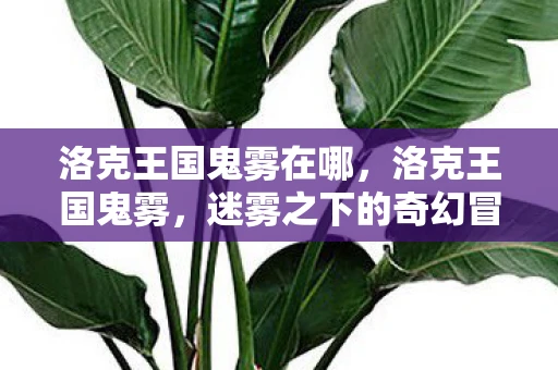洛克王国鬼雾在哪,洛克王国鬼雾,迷雾之下的奇幻冒险 洛克王国鬼雾在哪,洛克王国鬼雾,迷雾之下的奇幻冒险