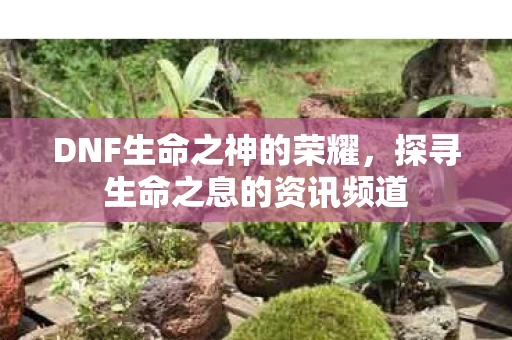 探寻生命之息的资讯频道图片