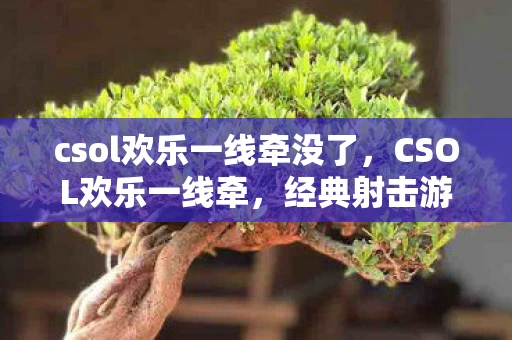 csol欢乐一线牵没了，CSOL欢乐一线牵，经典射击游戏的独特魅力