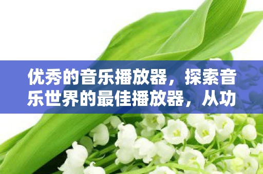优秀的音乐播放器，探索音乐世界的最佳播放器，从功能到用户体验—寻找那个好点的播放器