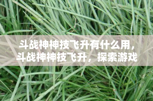 斗战神神技飞升有什么用，斗战神神技飞升，探索游戏世界的无限可能