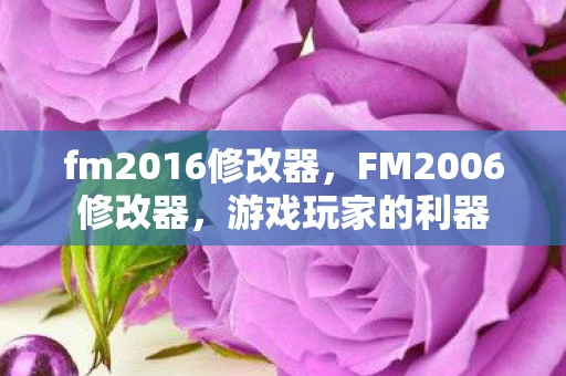 fm2016修改器,FM2006修改器,游戏玩家的利器 fm2016修改器,FM2006修改器,游戏玩家的利器