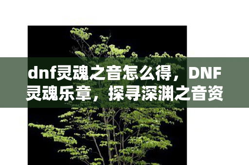 dnf灵魂之音怎么得，DNF灵魂乐章，探寻深渊之音资讯频道