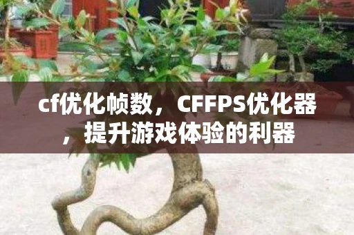 cf优化帧数，CFFPS优化器，提升游戏体验的利器