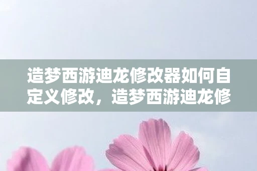 造梦西游迪龙修改器如何自定义修改，造梦西游迪龙修改器，解锁无限可能，畅游西游世界