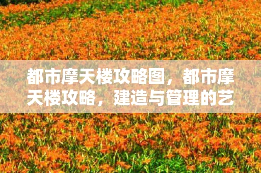 都市摩天楼攻略图,都市摩天楼攻略,建造与管理的艺术 都市摩天楼攻略图,都市摩天楼攻略,建造与管理的艺术