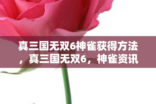 真三国无双6神雀获得方法，真三国无双6，神雀资讯频道