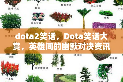 dota2笑话，Dota笑话大赏，英雄间的幽默对决资讯频道