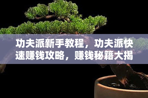 功夫派新手教程，功夫派快速赚钱攻略，赚钱秘籍大揭秘