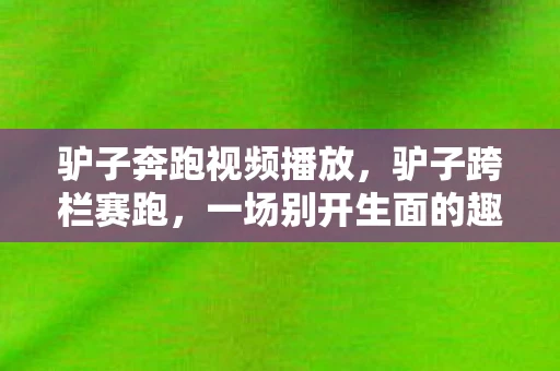 驴子奔跑视频播放，驴子跨栏赛跑，一场别开生面的趣味竞技