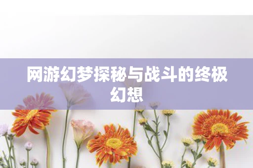网游幻梦探秘与战斗的终极幻想