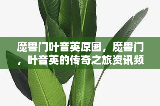 魔兽门叶音英原图，魔兽门，叶音英的传奇之旅资讯频道