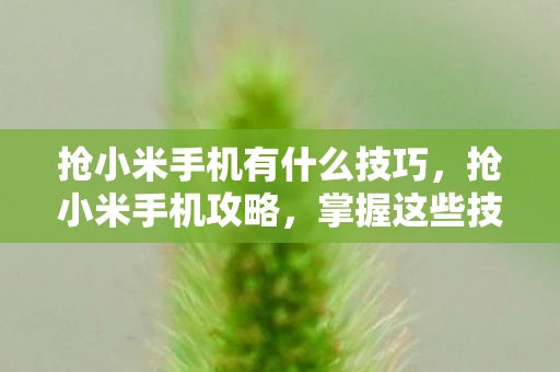抢小米手机有什么技巧，抢小米手机攻略，掌握这些技巧，轻松赢在起跑线