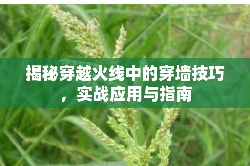 揭秘穿越火线中的穿墙技巧图片