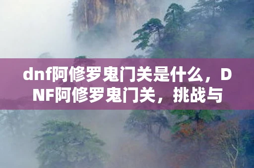 dnf阿修罗鬼门关是什么，DNF阿修罗鬼门关，挑战与技巧