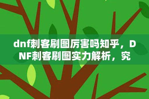 dnf刺客刷图厉害吗知乎，DNF刺客刷图实力解析，究竟刺客能否独步天下？