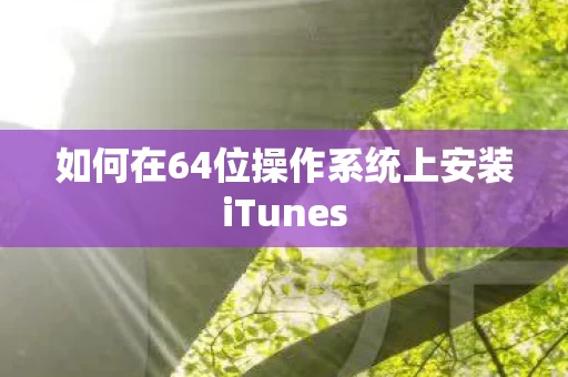如何在64位操作系统上安装iTunes图片