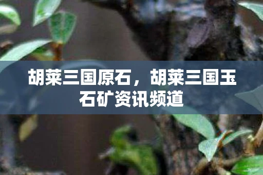 胡莱三国原石，胡莱三国玉石矿资讯频道